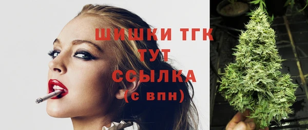 крисы Абаза