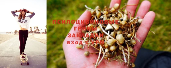 СК Алексеевка