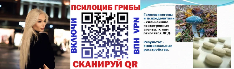 Галлюциногенные грибы MAGIC MUSHROOMS  продажа наркотиков  Подольск 
